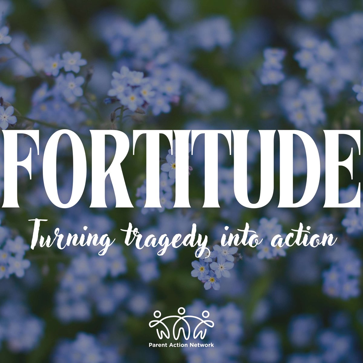 Fortitude: Turning Tragedy into Action podcast cover
